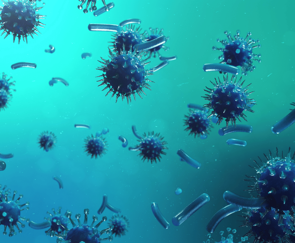 Bacterii bune vs. bacterii rele - Cum funcționează echilibrul din intestinele noastre?