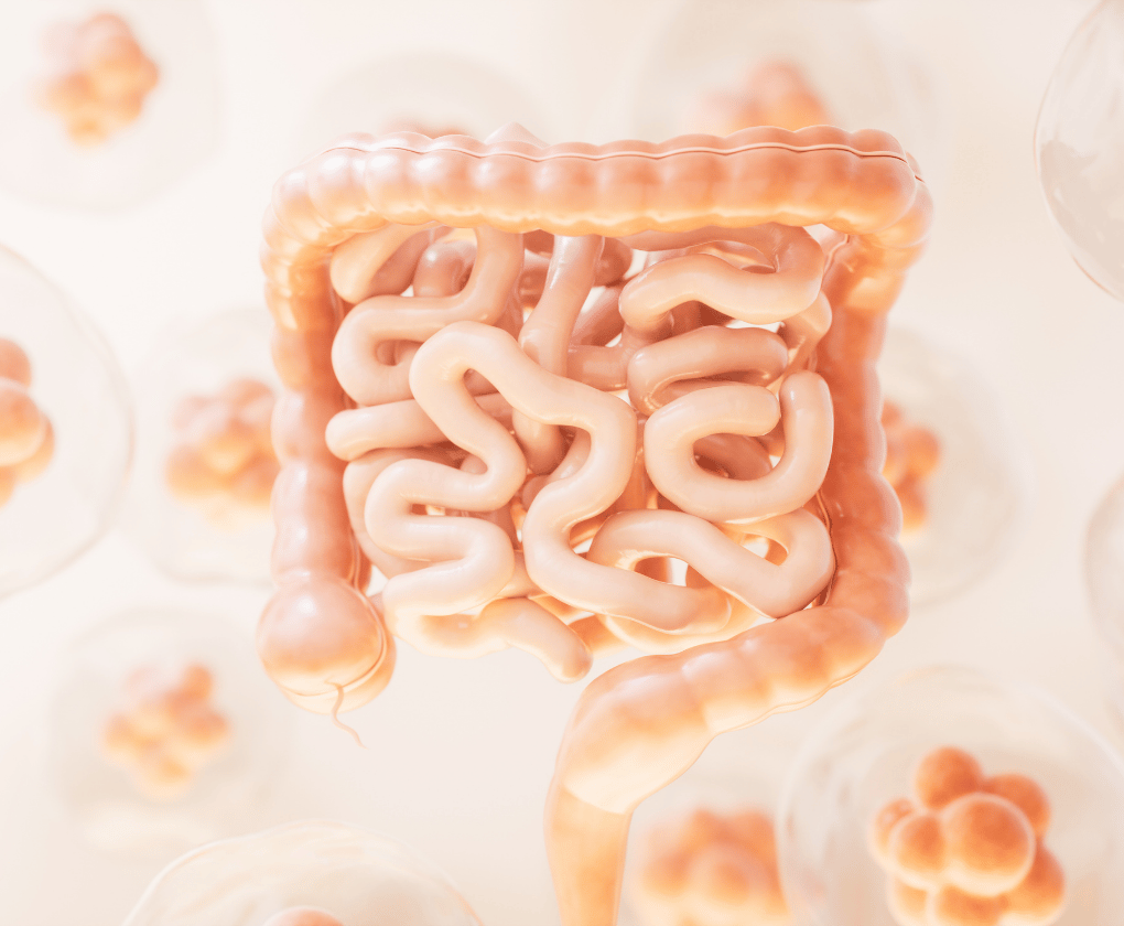 Viața și microbiomul – o călătorie comună spre sănătate