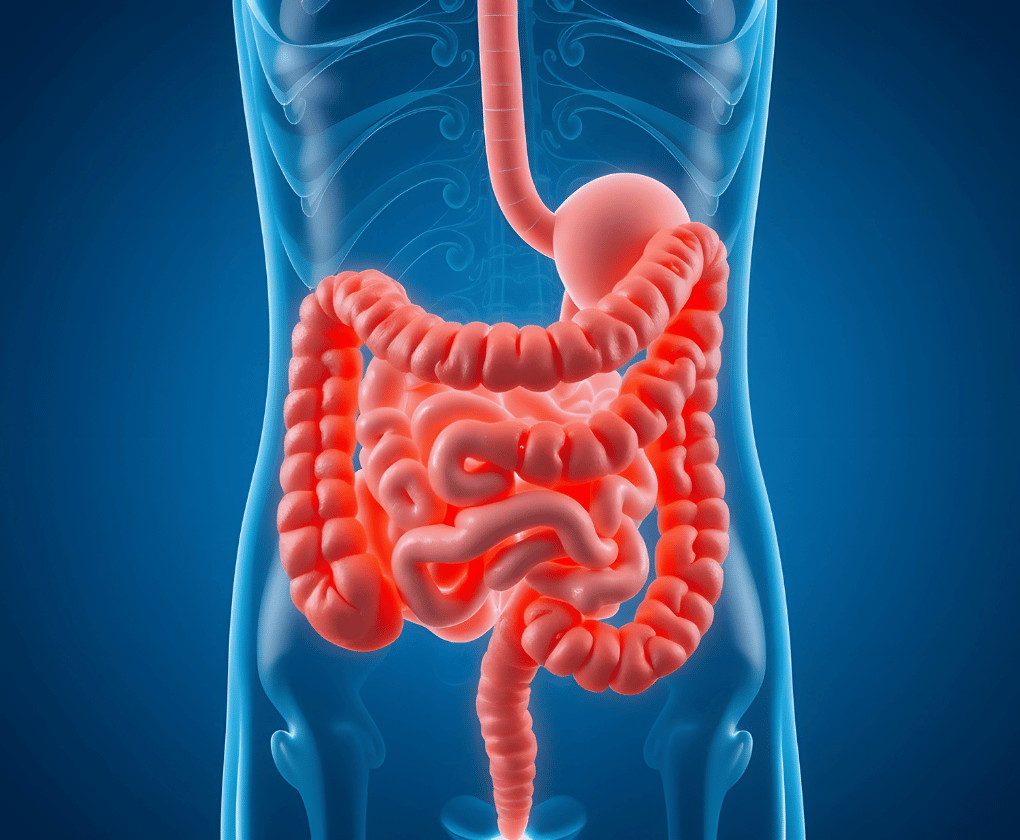 Care este diferența dintre boala Crohn și colita ulceroasă?