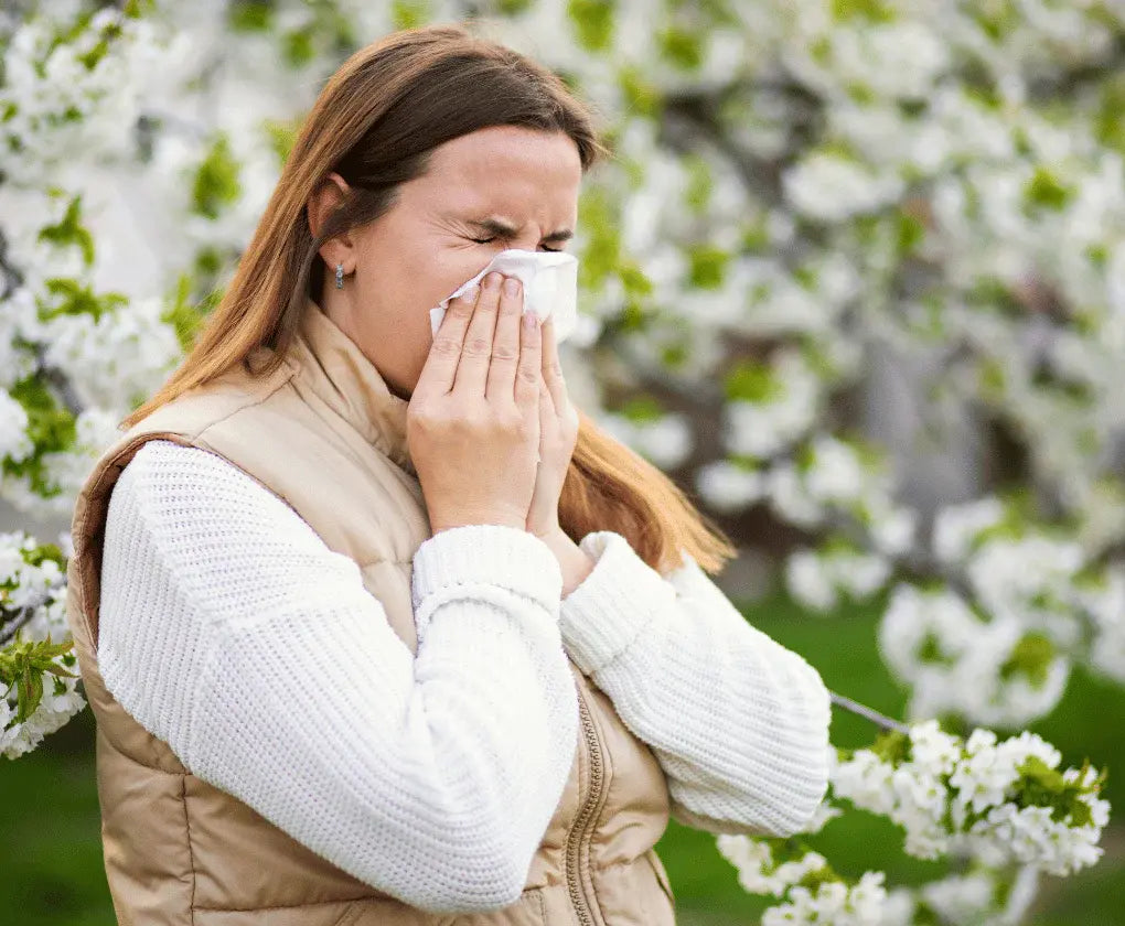 Probioticele și alergia: Pot ajuta în cazul rinitei sezoniere?