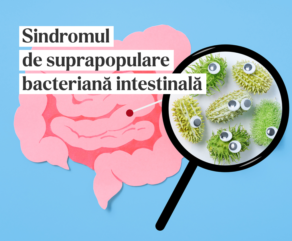SIBO. Totul despre boala care afectează intestinul subțire