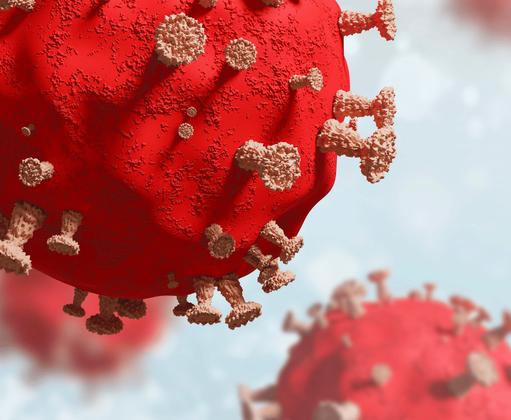 Impactul microbiomului intestinal asupra evoluției bolii COVID-19
